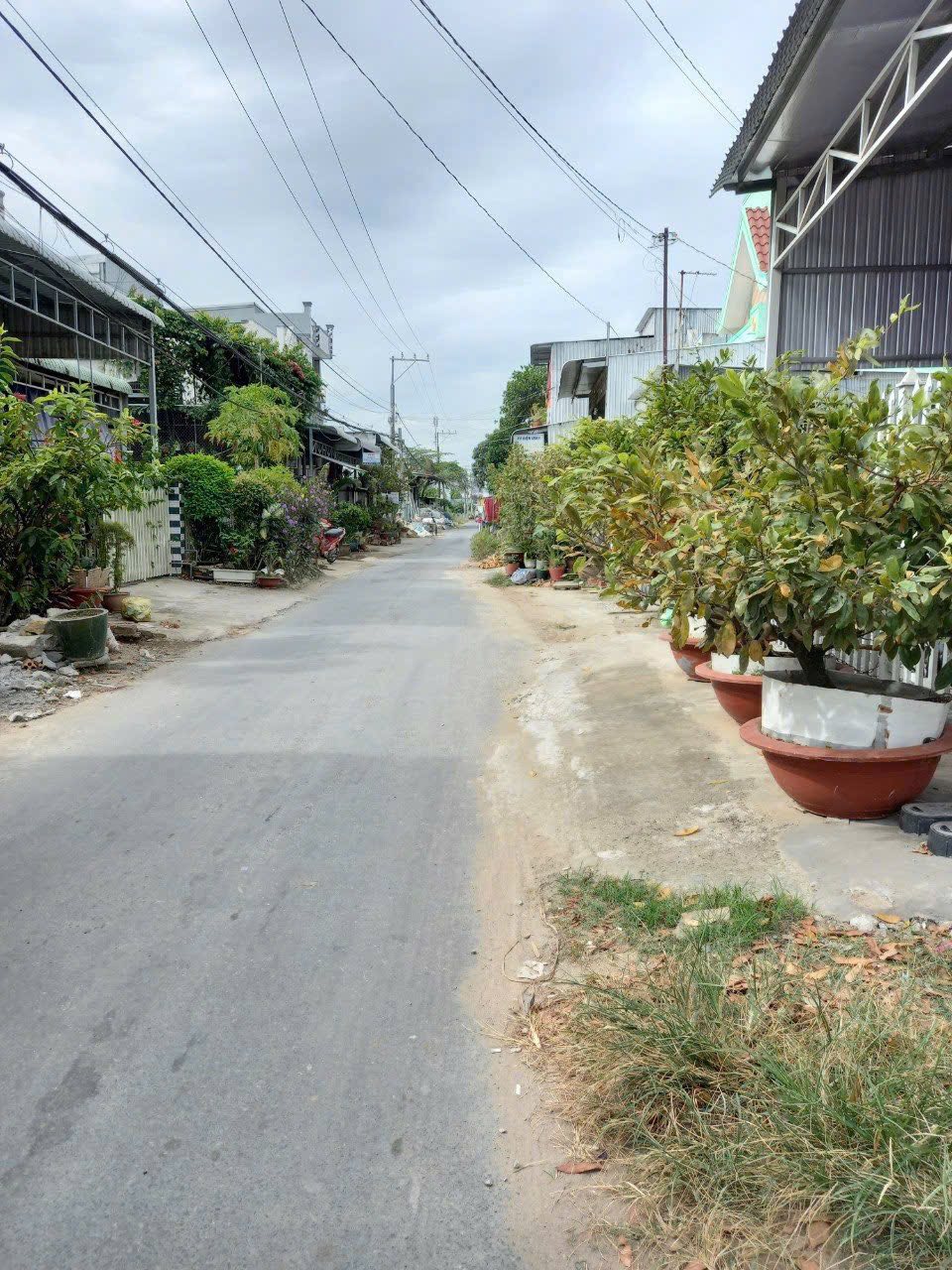 Cơ hội sở hữu ngay nền thổ cư siêu đẹp tại xã Bình Hoà, huyện Chợ Mới, tỉnh An Giang