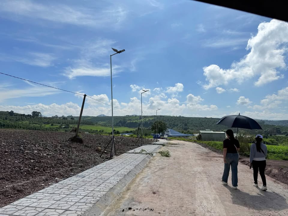 Đất ven Đà Lạt đang chờ bạn đến rinh về với giá không thể tin nổi