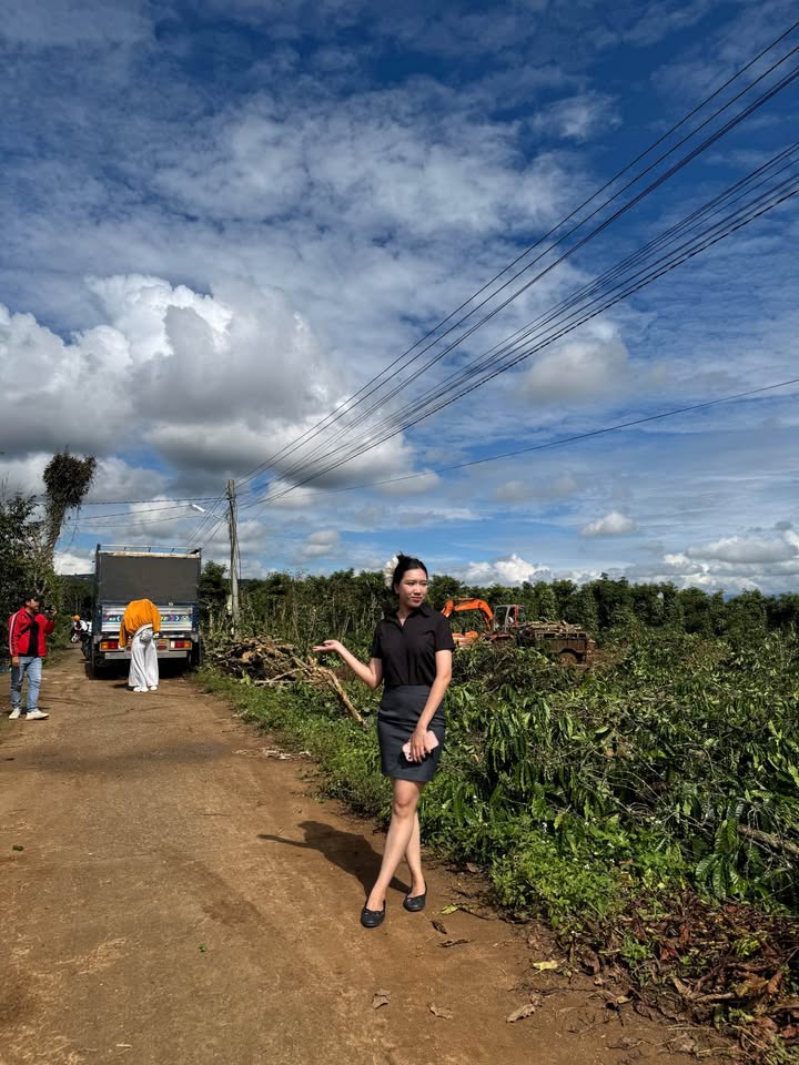 Đất nền Đinh Văn - Cơ hội đầu tư sinh lời vượt trội