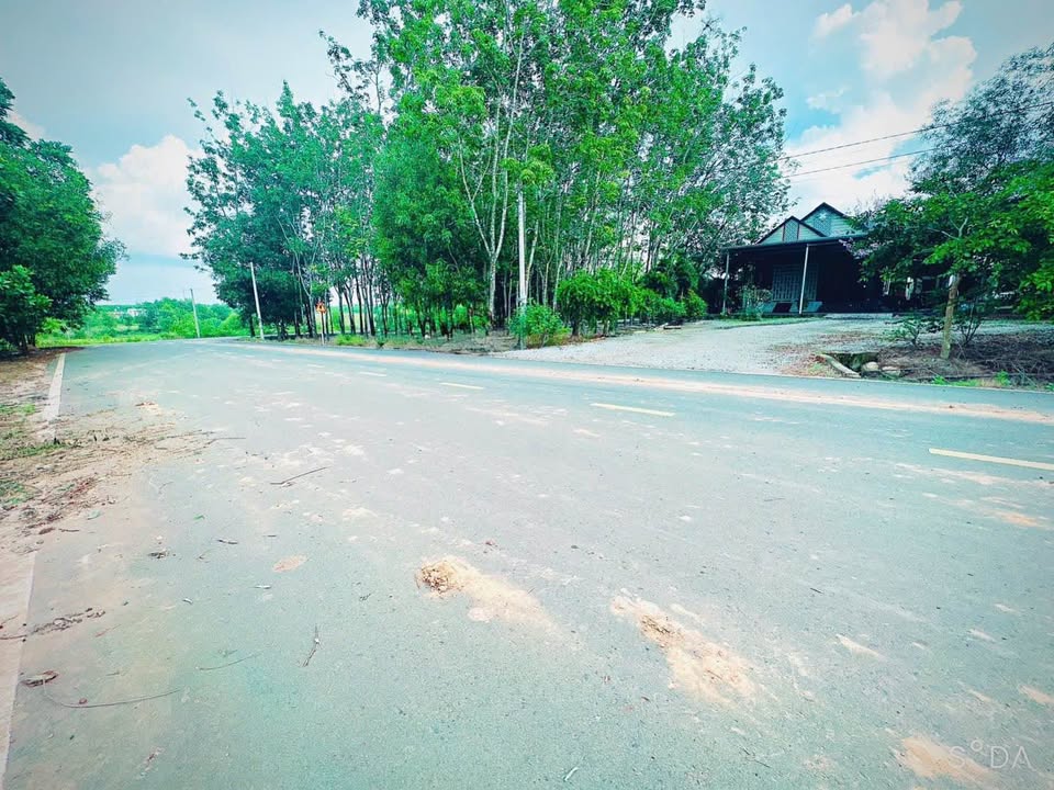 Đất vàng Chơn Thành mặt tiền đường lớn, sát KCN, giá hời