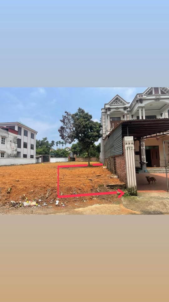 Siêu phẩm đất nền Thụy Vân, Việt Trì, Phú Thọ đã chính thức lên sóng