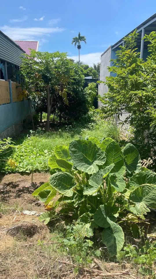 Bán đất mặt tiền đường Nguyễn Thái Bình, Phường Tấn Tài, 117m2