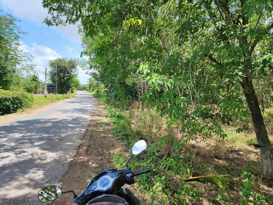 Đất Trảng Bàng - Mặt tiền Tịnh Phong, 500m2 thổ cư, giá chỉ 10 tỷ