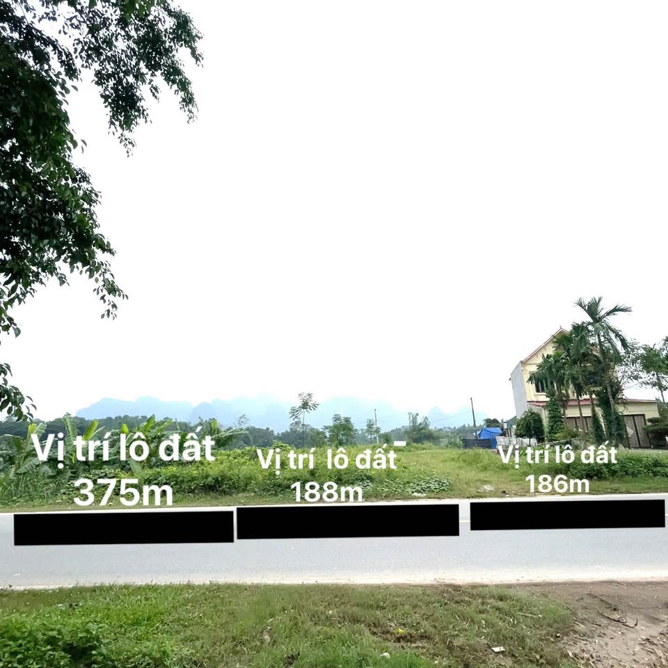 Đất mặt đường Hồ Chí Minh, đầu tư sinh lời ngay