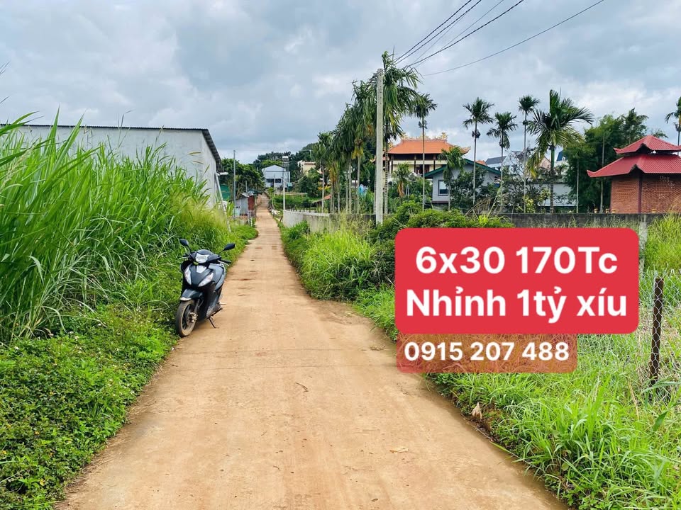 Đất nghỉ dưỡng xíu xiu, sát chùa Phổ Minh, Lâm Đồng