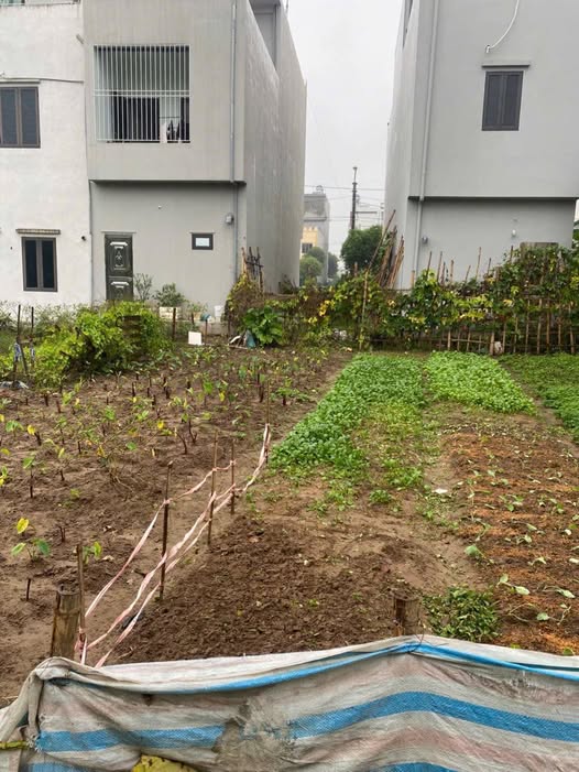 Đất vàng Cửa Đình 63m² hướng Tây Nam, sổ đỏ sẵn sàng