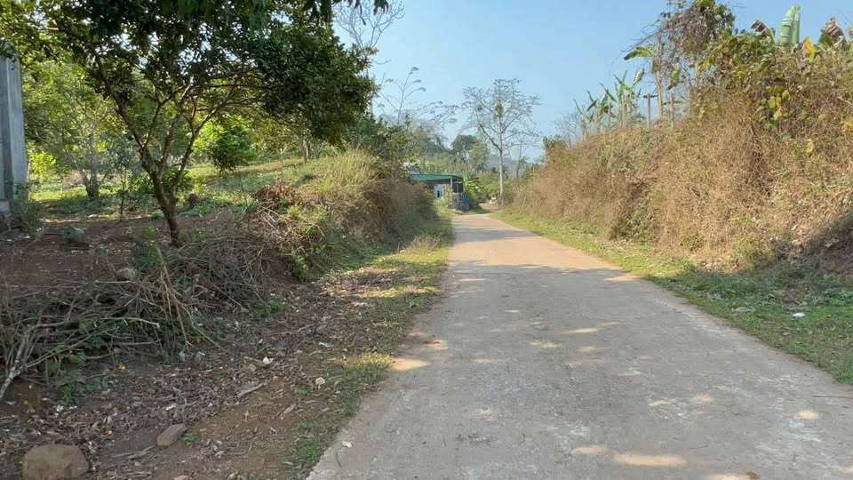 Siêu phẩm đất nền 654m² tại Đông Lai, Tân Lạc, Hòa Bình đang chờ chủ nhân xứng tầm