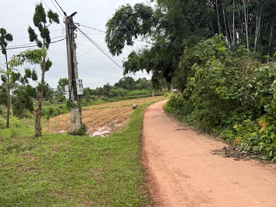 Cơ hội vàng cho ai muốn bỏ phố về quê, lô đất rộng gần 3000m2 tại Tân Hoà, Phú Bình