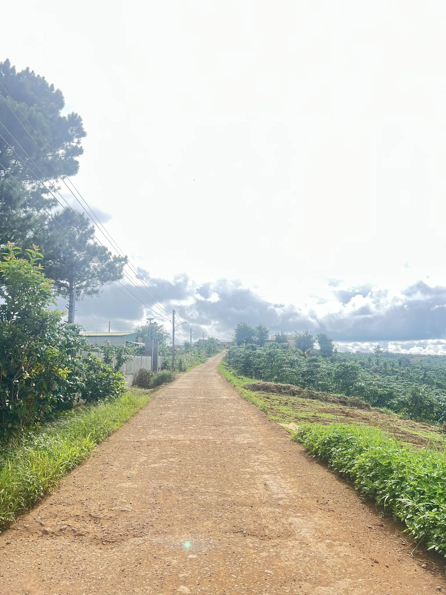 Đất vàng Di Linh 6m x 40m, thổ cư 100%, gần QL28, hỗ trợ vay ngân hàng