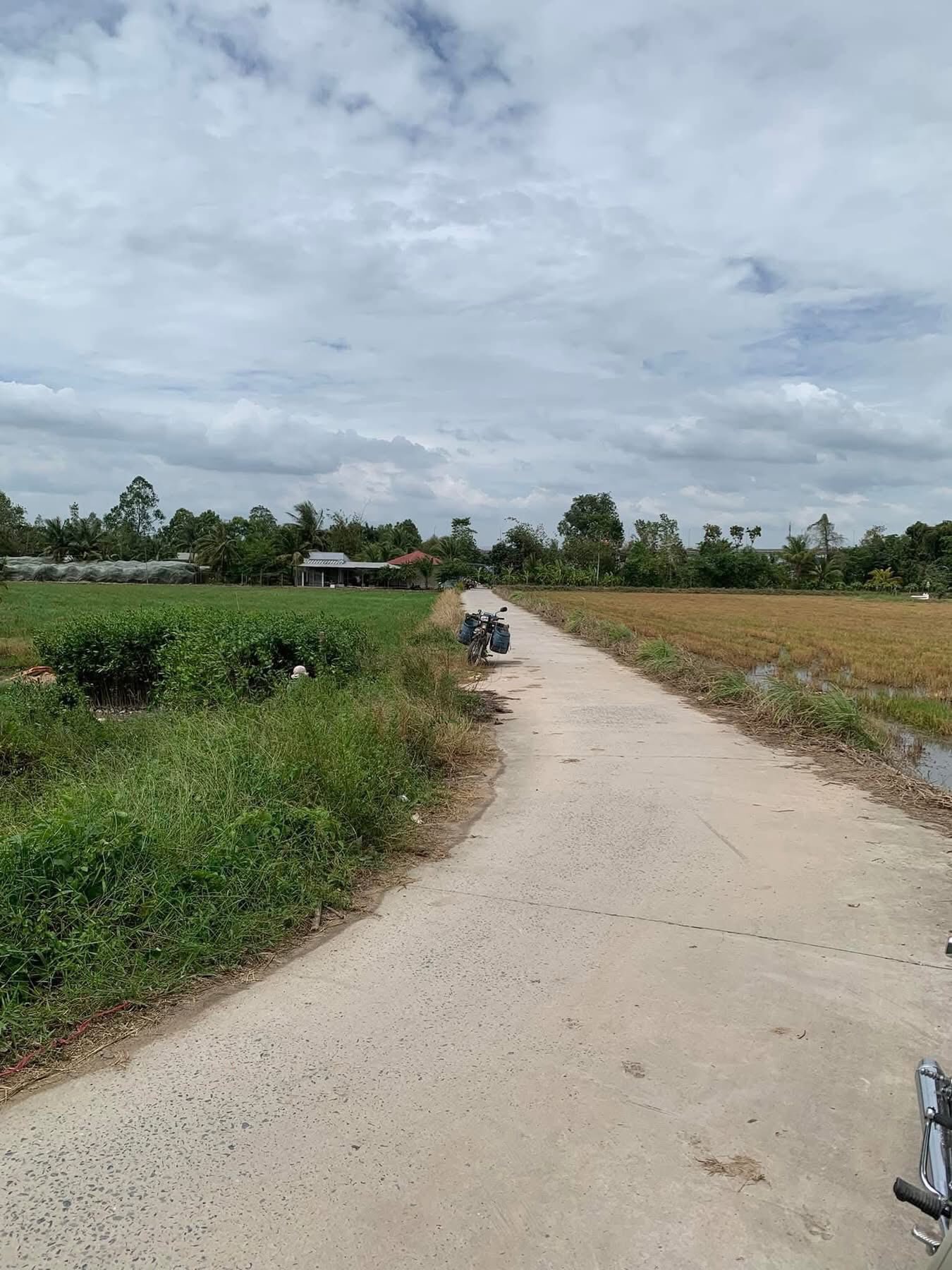 Bán đất lúa rộng gần 40000m2 tại Thốt Nốt, Cần Thơ