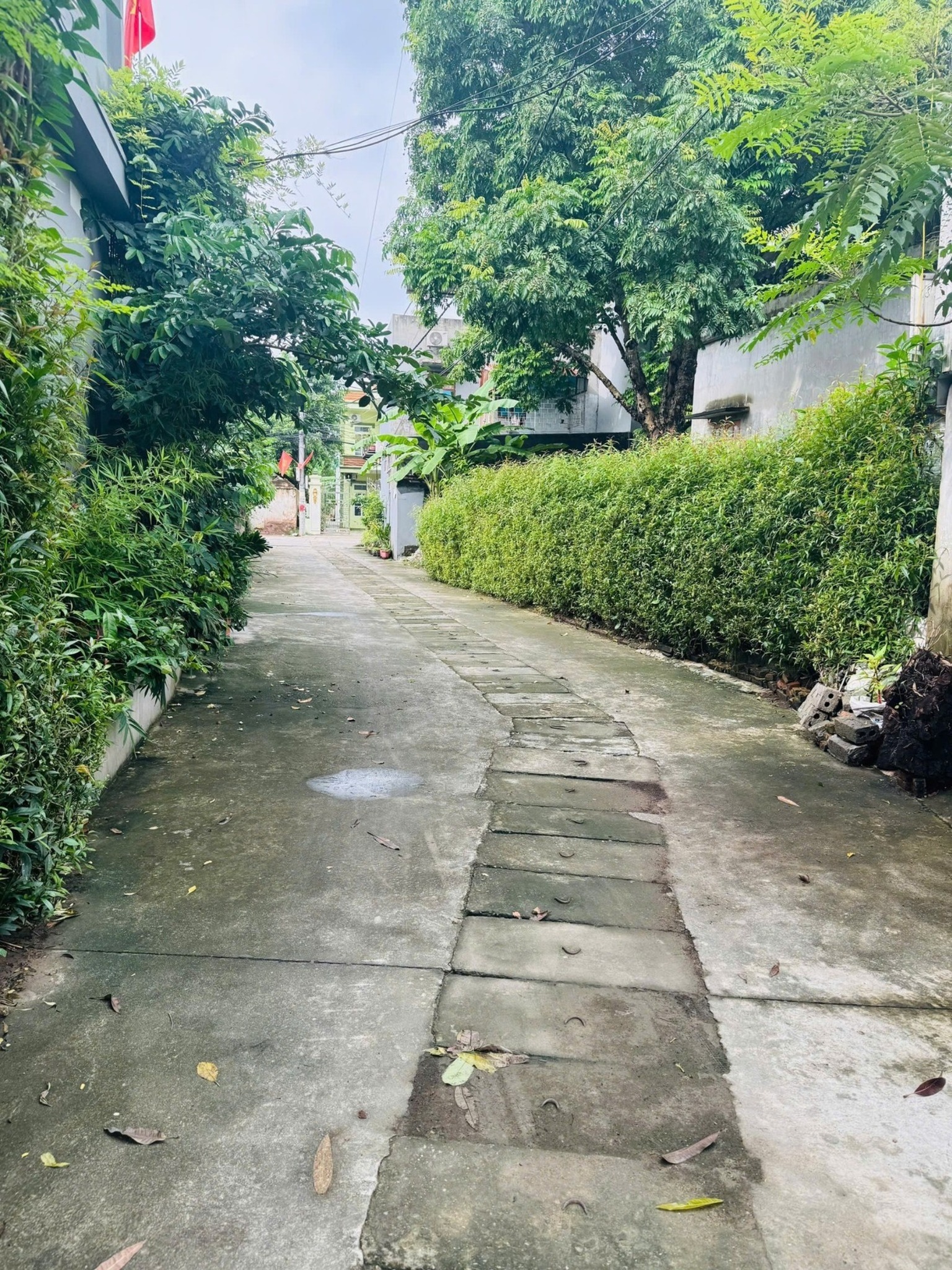 Bán gấp đất mặt tiền 5m, đường ô tô tải, đối diện Sun Urban City, giá chỉ 1,2x tỷ