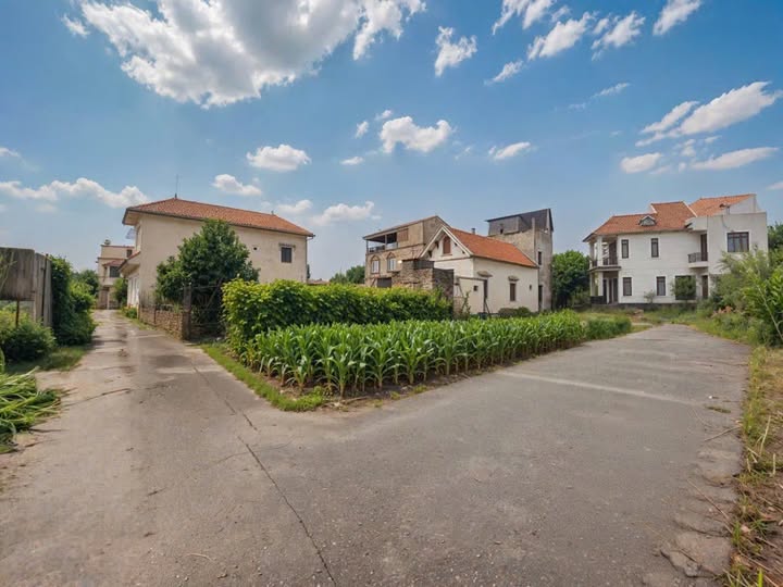 Đất lô góc 63.9m2 Chương Lộc, Thường Tín ô tô đỗ cửa, 2 mặt tiền siêu thoáng