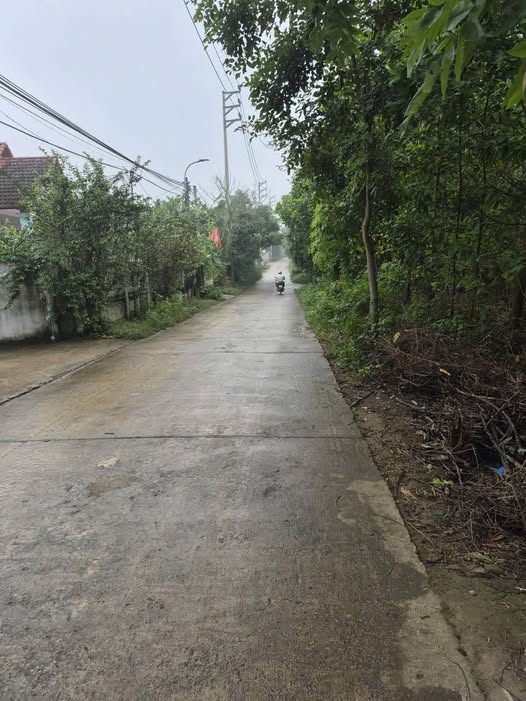 Bán đất Ba Trại, Ba Vì 1430m², có 150m² đất ở, mặt tiền 28m, giá 6 tỷ