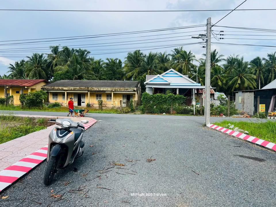 Đất nền Nguyệt Hóa, Trà Vinh - Sổ hồng riêng, gần bệnh viện, giá hời