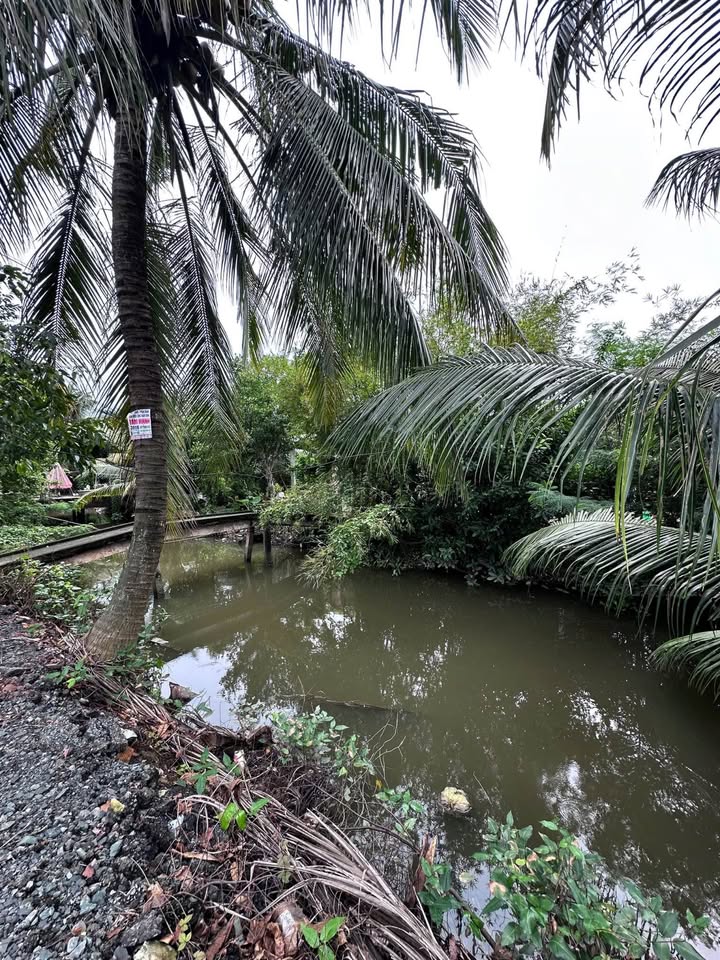 Bán đất mặt tiền Tỉnh lộ 879B, Mỹ Tho – 7.12x58m, nở hậu, 70m² thổ cư