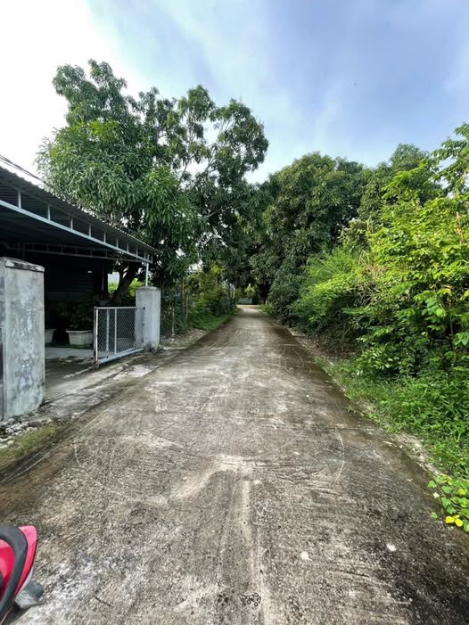 Nhà 2 căn đất vườn 624m² Cam Lâm, giá hời &lt;3 triệu/m²