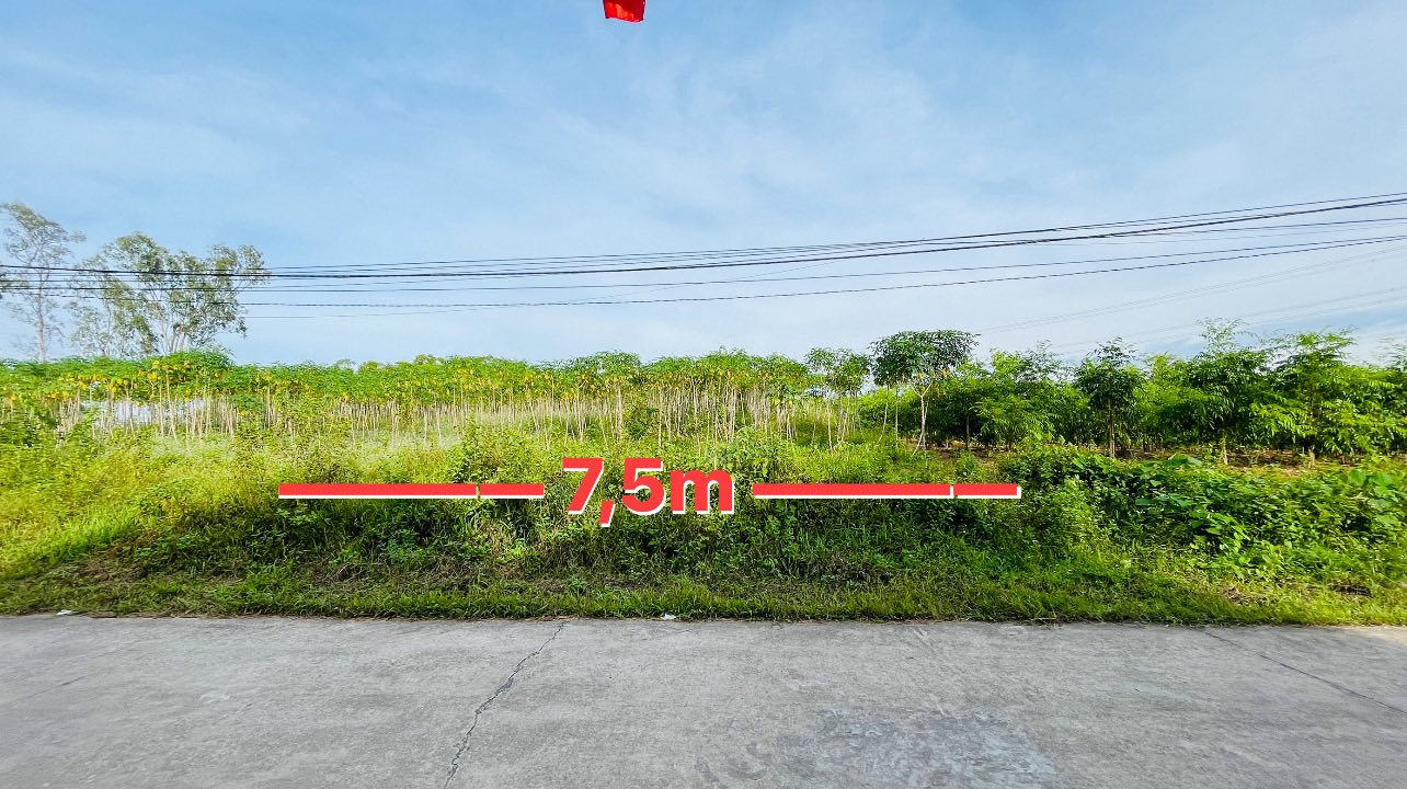 Cơ hội sở hữu ngay lô đất cực phẩm tại K4 Bắc Sơn, Tam Nông, Phú Thọ với diện tích 150m2