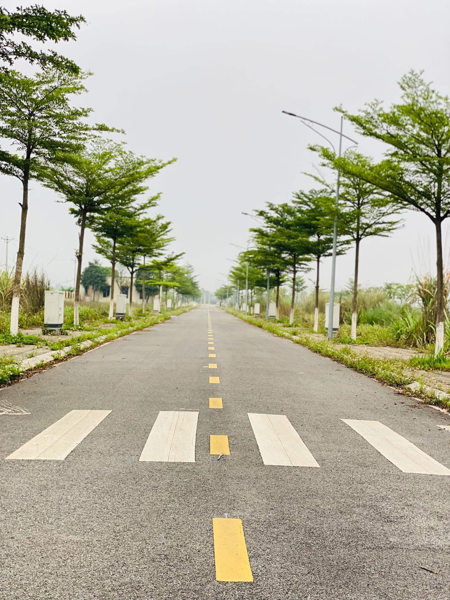 Bán đất vàng 80m2 tại Tam Nông, Phú Thọ - Cơ hội đầu tư sinh lời khủng