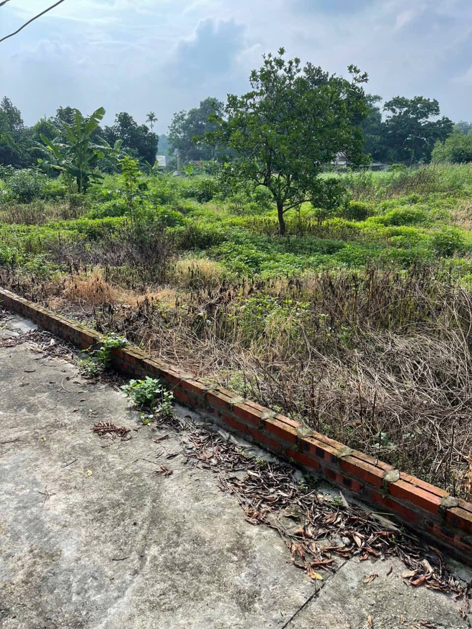 Đất vàng Cẩm Lĩnh, Ba Vì mặt tiền khủng 23m, sổ đỏ 720m2, cơ hội đầu tư sinh lời