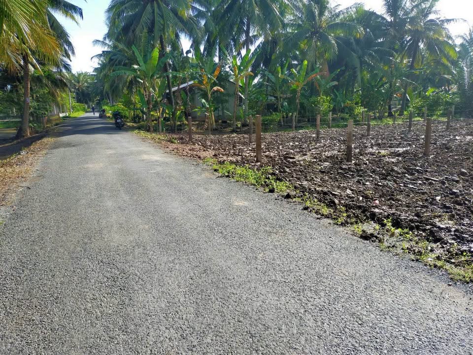 Cơ hội sở hữu ngay nền đất vàng tại ấp Hòa Thành, xã Hòa Định, Chợ Gạo, Tiền Giang