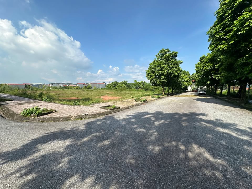 Mảnh đất vàng đối diện khu phân lô Sư Đoàn 304 - Cơ hội đầu tư không thể bỏ lỡ