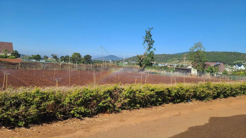 Cần bán gấp lô đất mặt tiền đường nhựa DH12, vị trí đắc địa gần ngã ba Bồng Lai