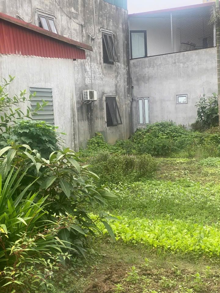 Đất Yên Bái, gõ ô tô thẳng tiến, 144m2 giá hời, hướng Đông Bắc