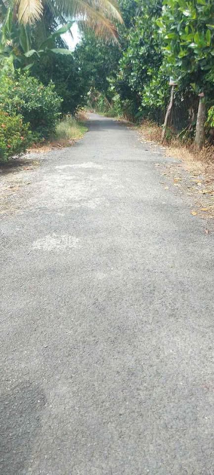 Bán đất vàng xã Ba Sao, Đồng Tháp - Ngang 5.7m, sổ đỏ riêng