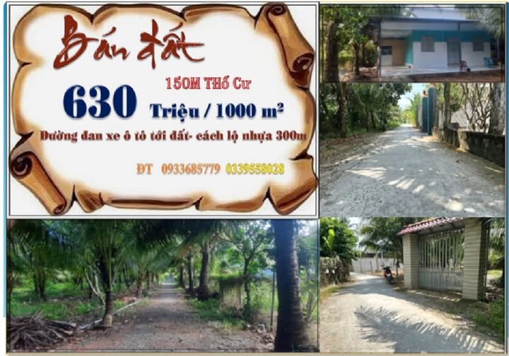 Bán đất vườn dừa 5000m² mặt tiền rộng 27m tại Châu Thành, Bến Tre - Giá 3.15 tỷ