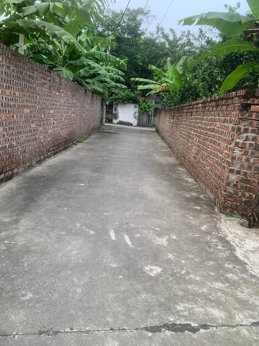 Bán đất Xuân Lâm, Gia Lâm, Hà Nội - 44.3m2, ô tô đỗ tận đất, giá nhỉnh 1 tỷ