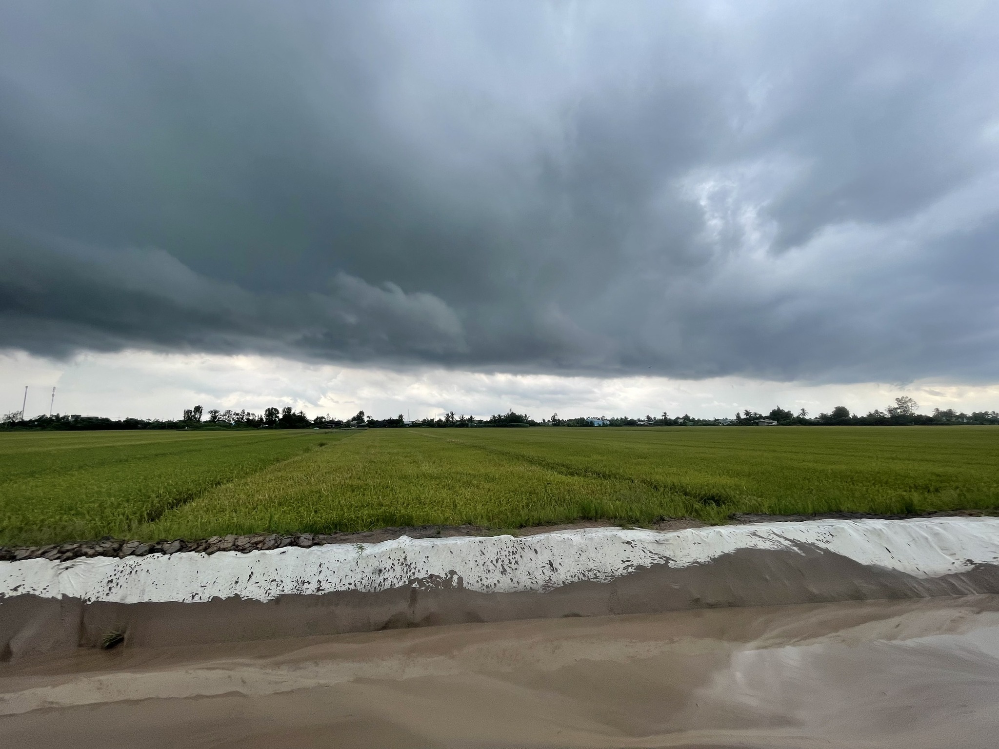 Đất vàng Gò Công Tây 9m x 46m, thổ cư sẵn sàng, giá hời