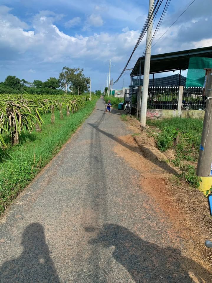 Đất xịn Hàm Thắng, Bình Thuận - 120m2, giá 750 triệu