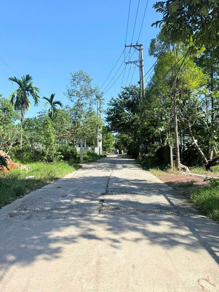 Đất vàng mặt tiền đường Vũ Ngọc Phan, Thủy Xuân, Thành phố Huế - Cơ hội đầu tư không thể bỏ lỡ