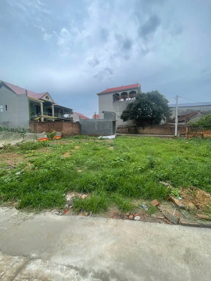 Đất Yên Tàng - Sóc Sơn - Vượng khí sinh tài, đón đầu đầu tư