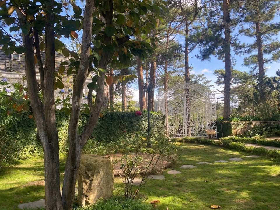 Cho thuê biệt thự cao cấp mặt tiền đường Hùng Vương, khuôn viên 1200m2, full nội thất, kinh doanh ngay