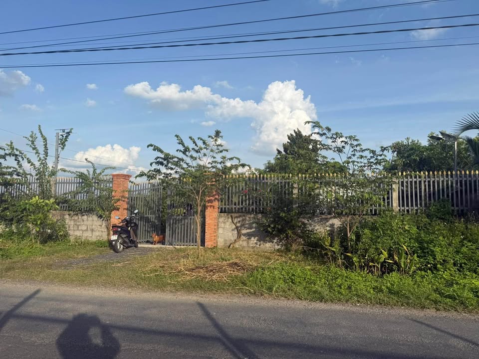 Nhà vườn xịn xò, chill chill ở Tân An, Long An