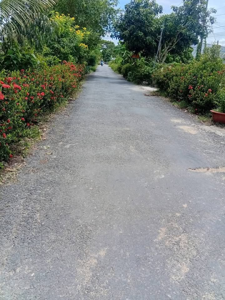 Đất vườn sầu riêng 13 công nghỉ dưỡng hay đầu tư, chốt nhanh kẻo lỡ