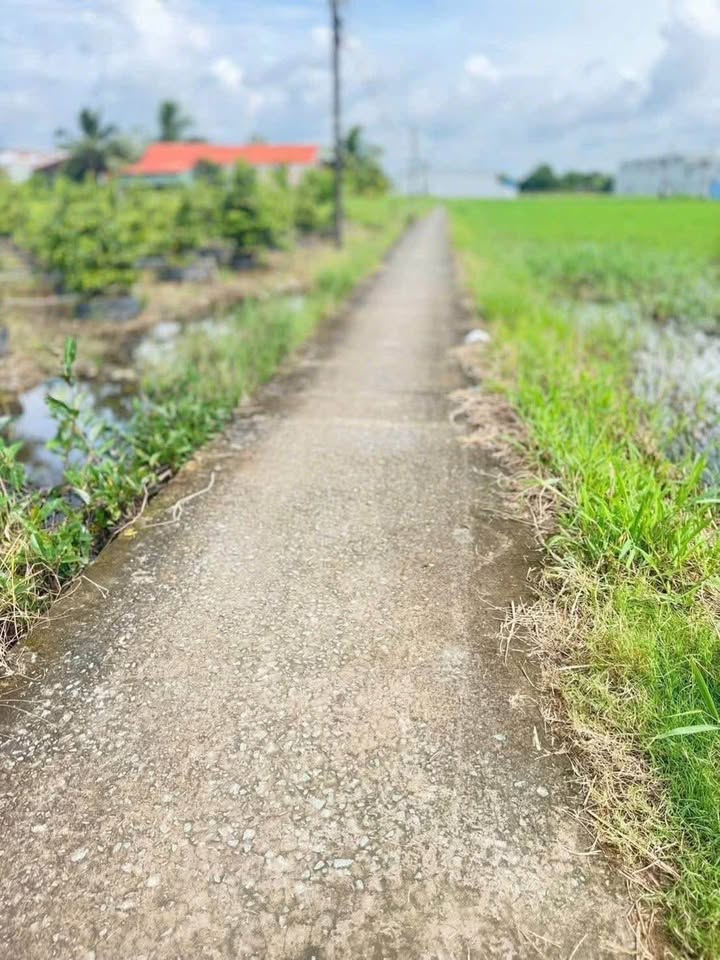 Nhà 310m² full thổ, 2 ngủ, 1.5 tỷ, Tân An - Giá ngộp cần chốt gấp