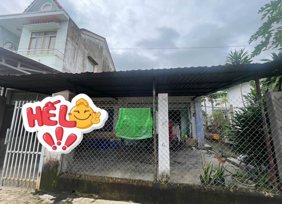 Cơ hội sở hữu duy nhất một căn nhà vườn rộng rãi 311m2 full thổ cư