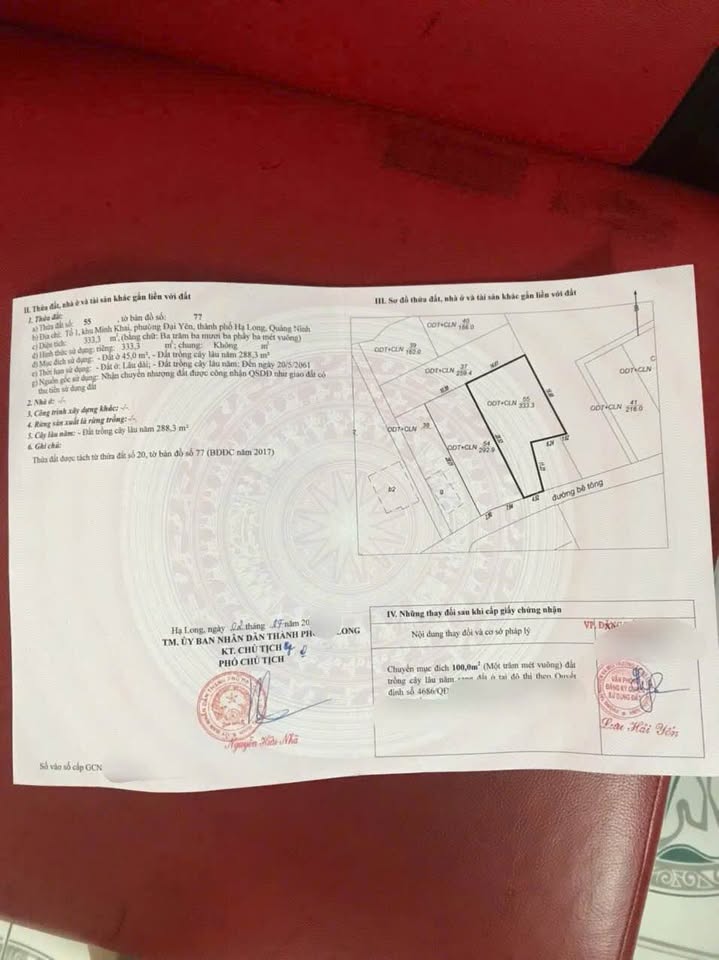 Cơ hội sở hữu ngay cặp đất siêu đẹp tại Đại Yên, thành phố Hạ Long