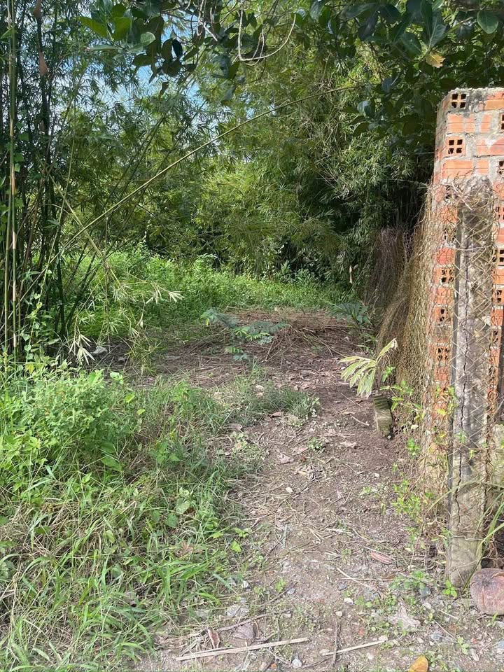 Đất vàng 295 triệu tại Tây Ninh, cơ hội sở hữu ngay