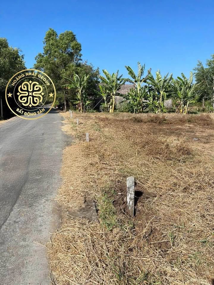 Bán đất nền giá rẻ xã An Xuyên, Cà Mau - Ngang 5m, 63.3m² thổ cư