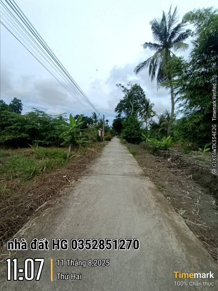 Đất vườn Hậu Giang, 34000m² đất vàng, nở hậu, sẵn sàng sang tên