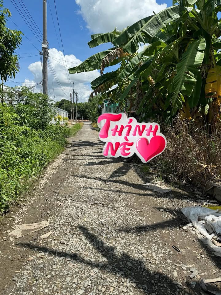 Bán 3 nền đất thổ cư sổ riêng tại Phú Nghĩa, Tam Bình, Vĩnh Long