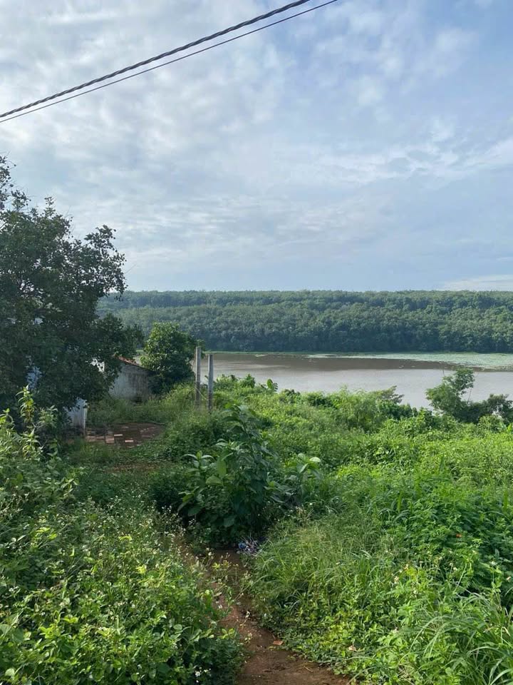 Siêu phẩm nhà vườn 1244m2 đang chờ chủ nhân mới