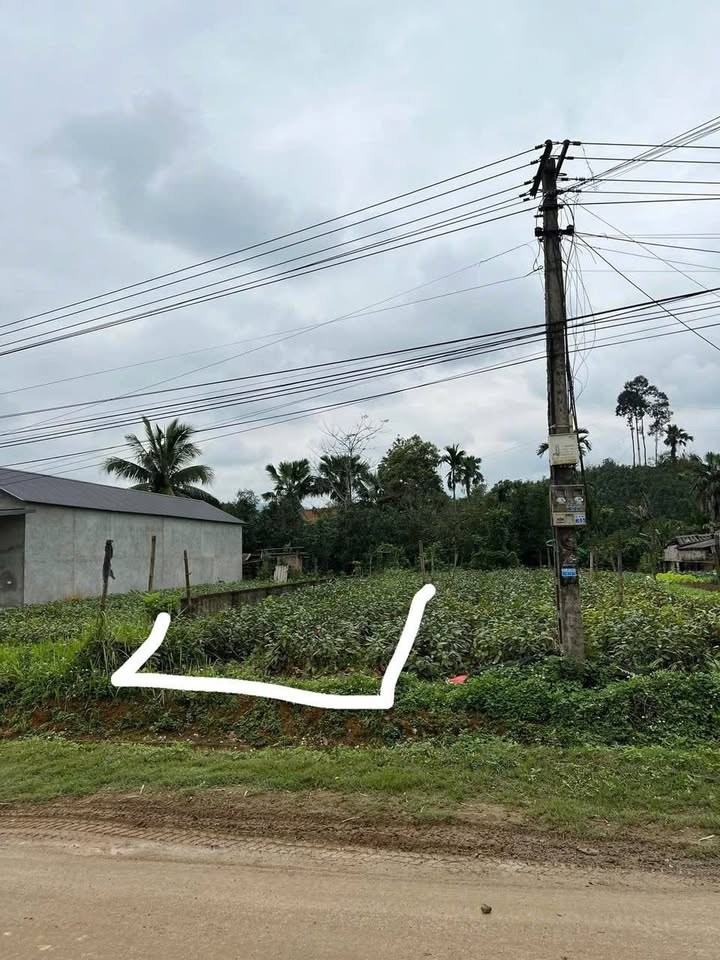 Bán đất mặt đường Tỉnh lộ 166, Yên Bái - View sông, nở hậu