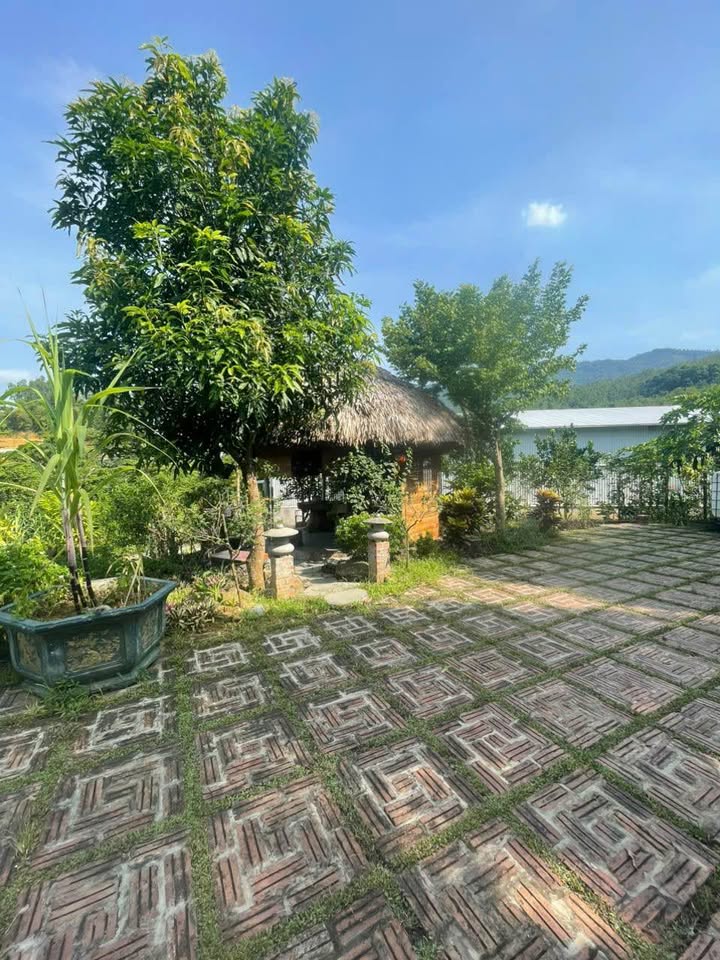 Biệt thự nhà vườn 2000m2 tại Trán Voi, Phú Cát, chốn nghỉ dưỡng lý tưởng, đầu tư sinh lời