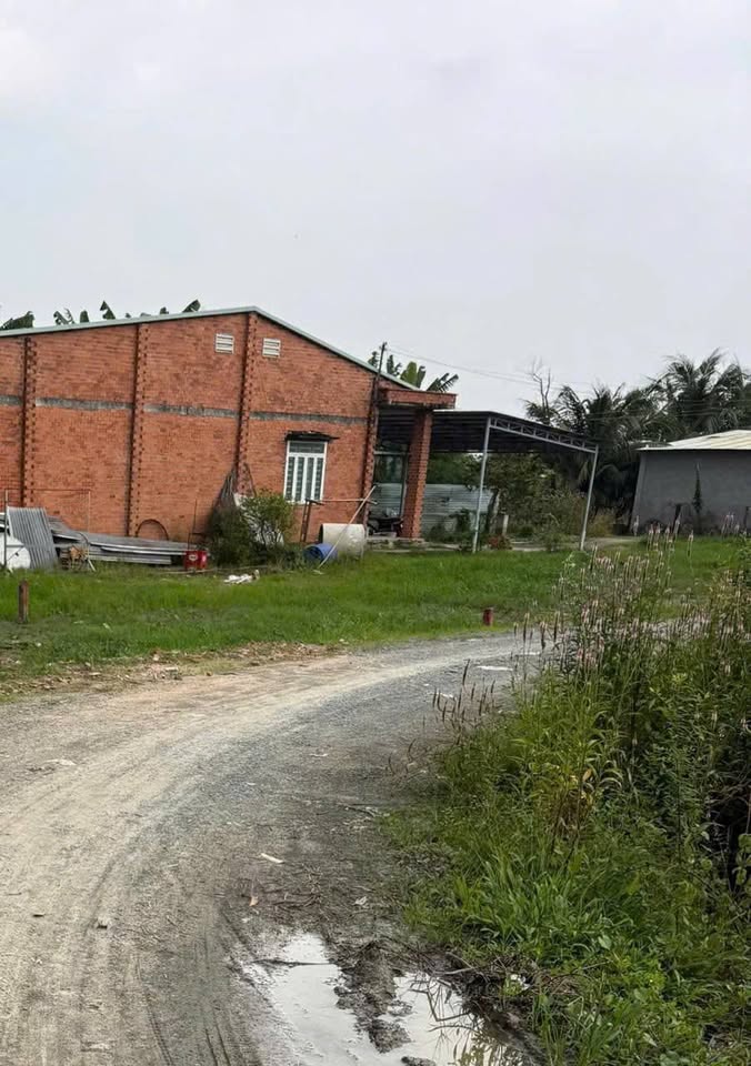 Bán đất mặt đường 5m, 140m2, gần KCN Phước Đông, Gò Dầu, Tây Ninh