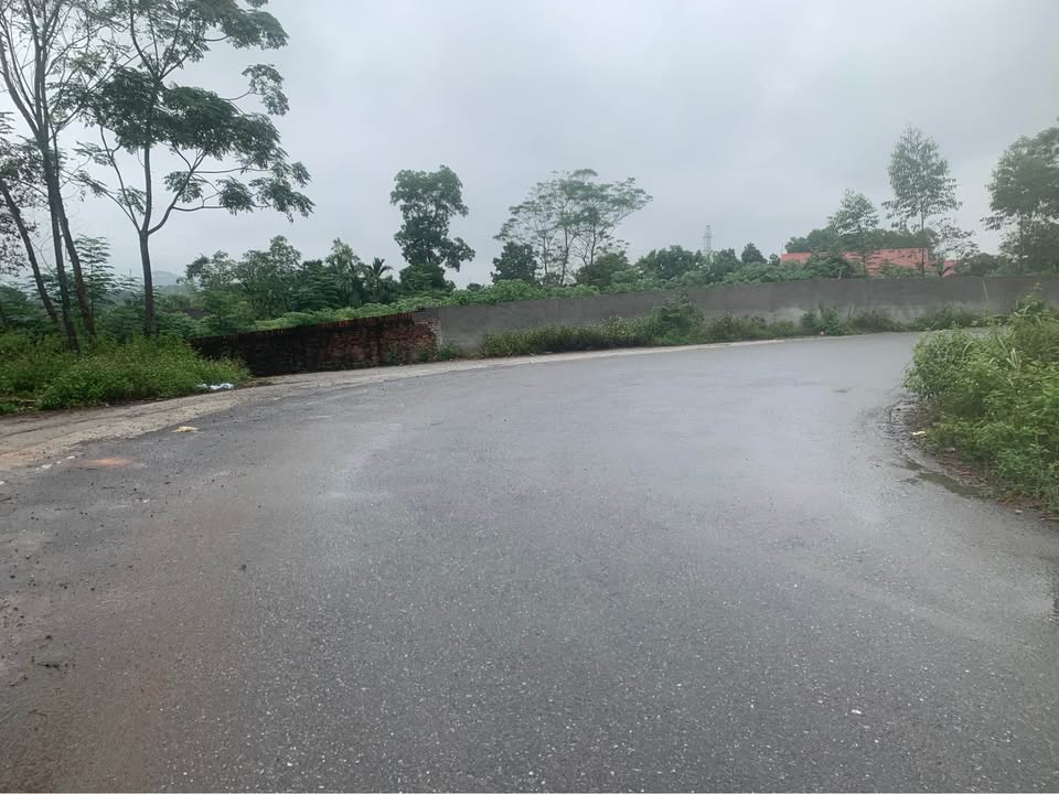 Đất Tiên Kiên 104m2, mặt tiền 5m, giá 'hời' như trúng số