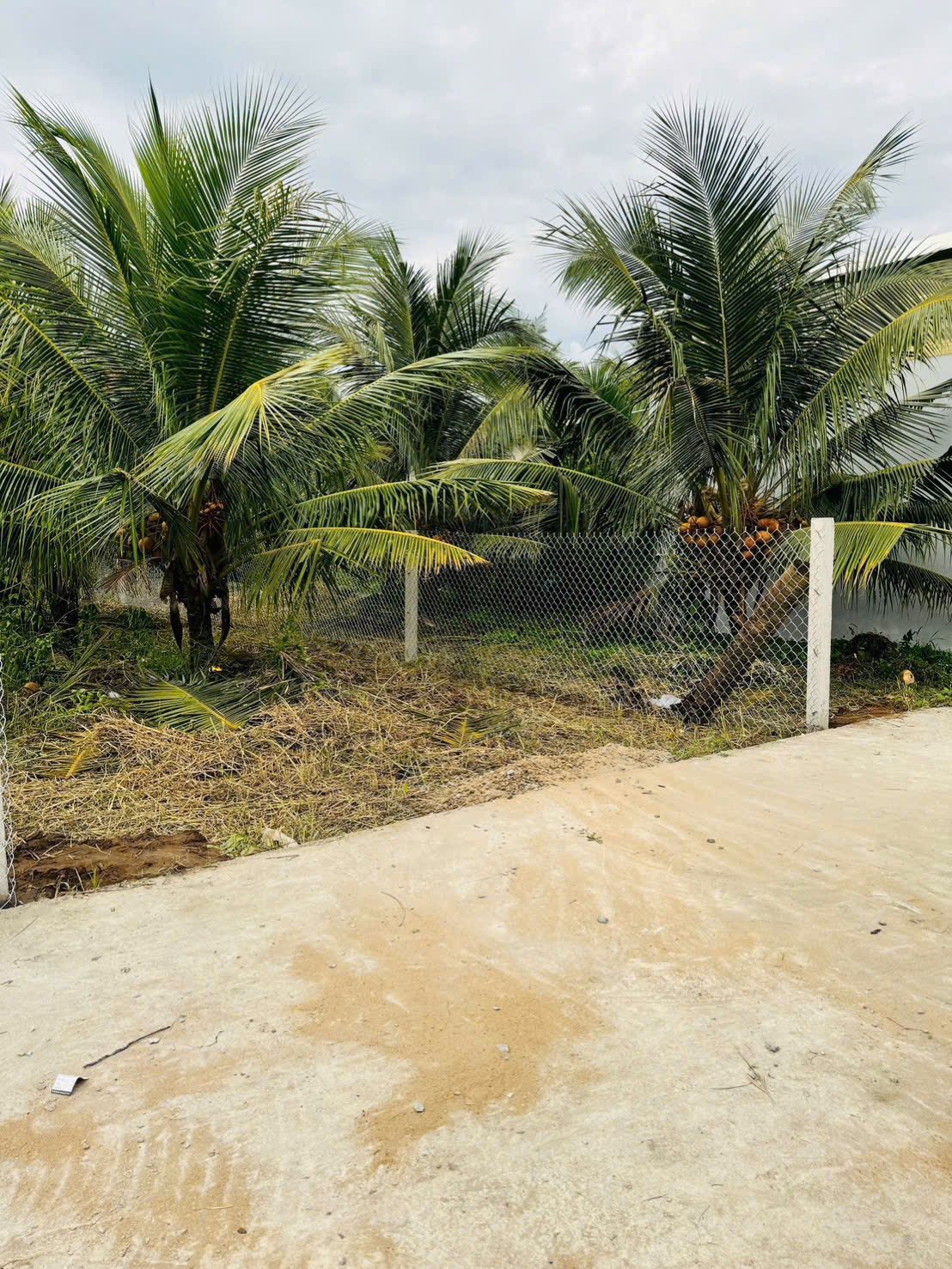 Đất nền biệt thự mini Phú Tân 187m2 hướng Đông, giá 850 triệu, lên thổ cư liền tay